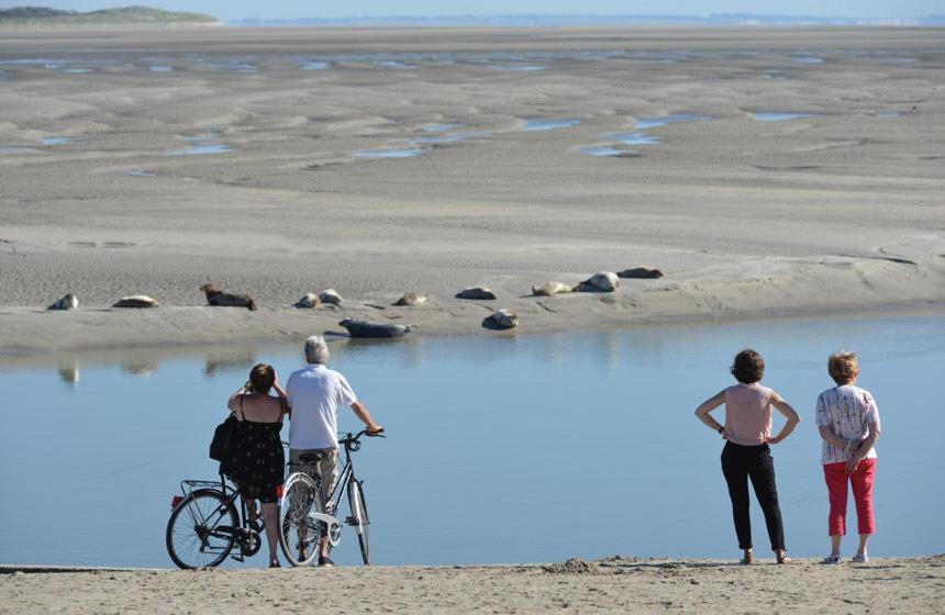 Paddle - Vue Mer - 100M Plage Berck Exterior photo