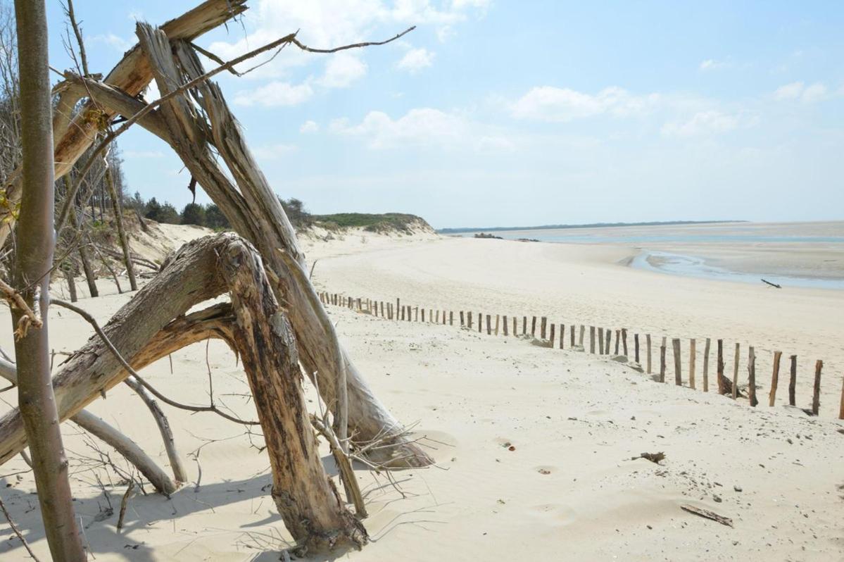Paddle - Vue Mer - 100M Plage Berck Exterior photo